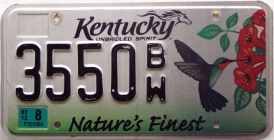 Kentucky_Bird02