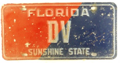 Florida_DV_01