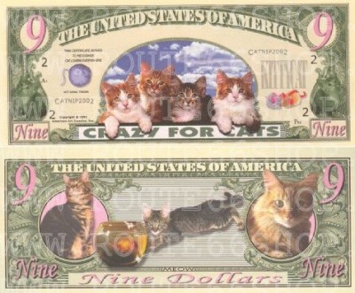 Cats