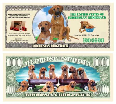  Dog_Rhodesian_Ridgebac