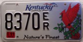 Kentucky_Bird01